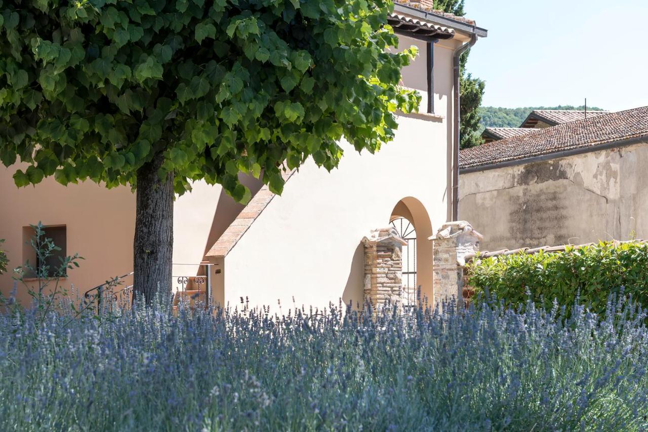 Dolce Far Niente Apartment With Pool & Parking Passignano sul Trasimeno Exterior foto